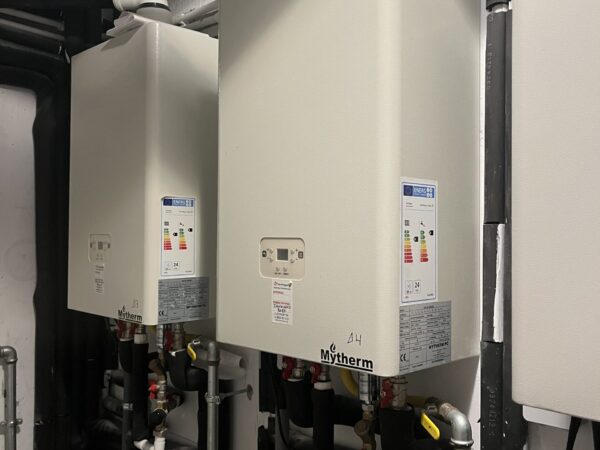 IMG_5909 IMG_5909